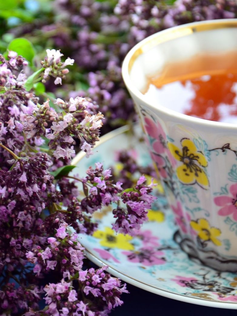 Le Virtù delle Tisane: Tra relax e benessere
