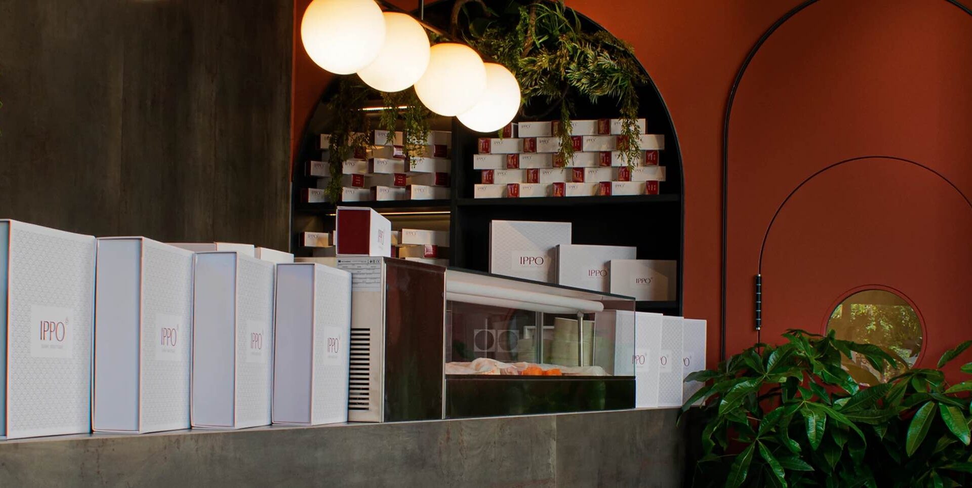 Ippo, la boutique di sushi da non perdere a Milano
