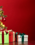 Dalle catene alla libertà: storia di una rinascita