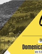 Gran Galà della Fondazione ASM: un evento all’insegna della solidarietà