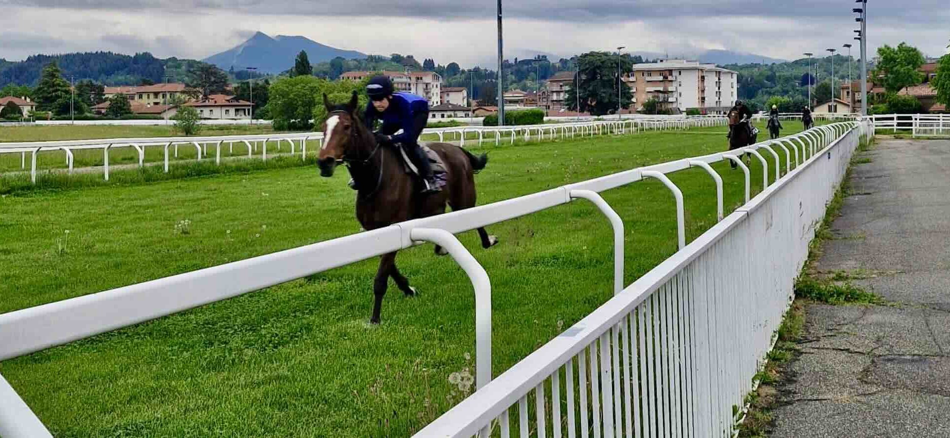 Varese Turf & Sport: innovazioni e aperture per la stagione estiva all’Ippodromo Le Bettole