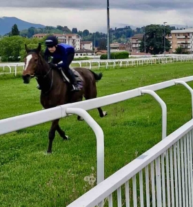 Varese Turf & Sport: innovazioni e aperture per la stagione estiva all’Ippodromo Le Bettole