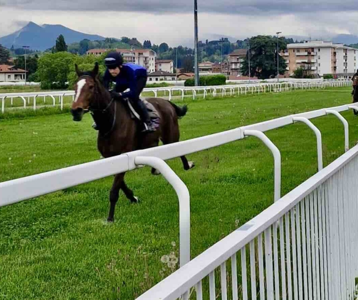 Varese Turf & Sport: innovazioni e aperture per la stagione estiva all’Ippodromo Le Bettole