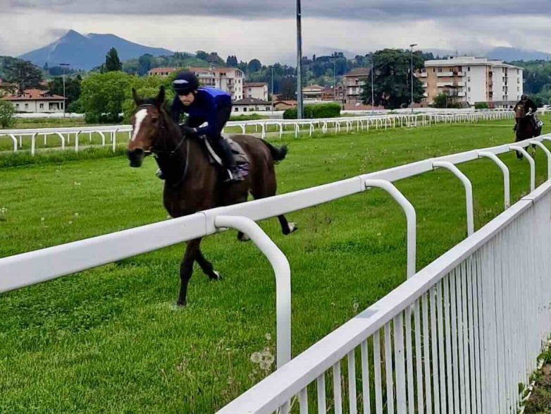 Varese Turf & Sport: innovazioni e aperture per la stagione estiva all’Ippodromo Le Bettole