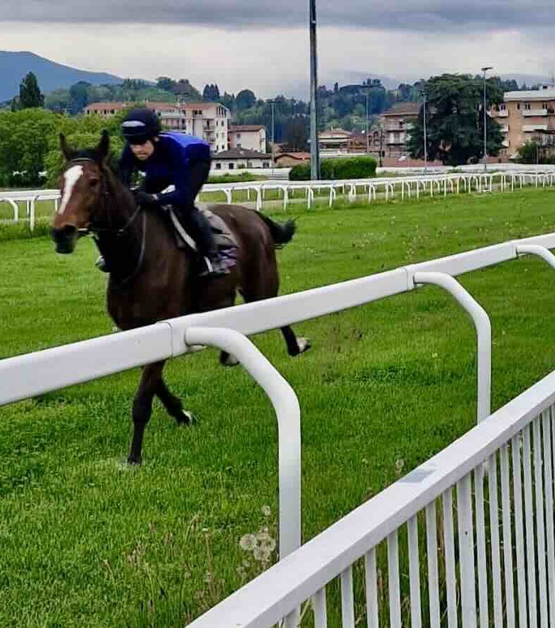 Varese Turf & Sport: innovazioni e aperture per la stagione estiva all’Ippodromo Le Bettole